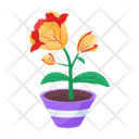 پیش‌نمایش فایل plant-and-flowers-8270174 از پک گیاه
