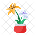پیش‌نمایش فایل plant-and-flowers-8270175 از پک گیاه