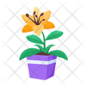 پیش‌نمایش فایل plant-and-flowers-8270178 از پک گیاه