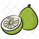 پیش‌نمایش فایل kiwi-8671194 از پک غذا