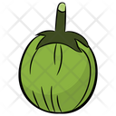 پیش‌نمایش فایل ash-gourd-8671254 از پک غذا