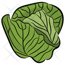پیش‌نمایش فایل cabbage-8671259 از پک غذا