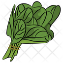 پیش‌نمایش فایل spinach-8671257 از پک غذا