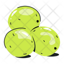 پیش‌نمایش فایل green-macadamia-8696930 از پک غذا