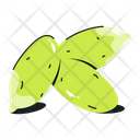 پیش‌نمایش فایل squash-seeds-8696752 از پک غذا