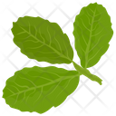 پیش‌نمایش فایل basil-leaves از پک آیکن‌های مسطح سبزیجات