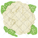 پیش‌نمایش فایل cauliflower-61 از پک آیکن‌های مسطح سبزیجات