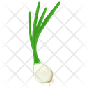 پیش‌نمایش فایل scallion-1 از پک آیکن‌های مسطح سبزیجات