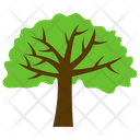 پیش‌نمایش فایل acacia-tree از پک آیکن‌های مسطح درختان