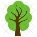 پیش‌نمایش فایل american-elm-1 از پک آیکن‌های مسطح درختان