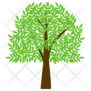 پیش‌نمایش فایل ash-tree-5 از پک آیکن‌های مسطح درختان
