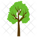 پیش‌نمایش فایل basswood-tree-8 از پک آیکن‌های مسطح درختان