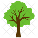 پیش‌نمایش فایل basswood-tree-9 از پک آیکن‌های مسطح درختان