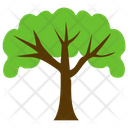 پیش‌نمایش فایل beech-tree-5 از پک آیکن‌های مسطح درختان