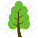 پیش‌نمایش فایل cedar-tree-3 از پک آیکن‌های مسطح درختان