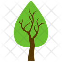 پیش‌نمایش فایل cedar-tree-4 از پک آیکن‌های مسطح درختان