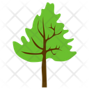 پیش‌نمایش فایل cedar-tree-5 از پک آیکن‌های مسطح درختان