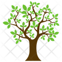 پیش‌نمایش فایل charter-oak از پک آیکن‌های مسطح درختان