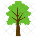 پیش‌نمایش فایل chestnut-tree-5 از پک آیکن‌های مسطح درختان