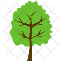 پیش‌نمایش فایل elm-tree-3 از پک آیکن‌های مسطح درختان