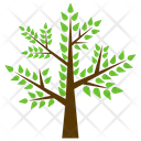 پیش‌نمایش فایل honey-locust-5 از پک آیکن‌های مسطح درختان