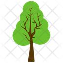 پیش‌نمایش فایل hornbeam-tree-1 از پک آیکن‌های مسطح درختان