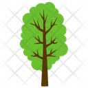 پیش‌نمایش فایل hornbeam-tree از پک آیکن‌های مسطح درختان