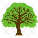 پیش‌نمایش فایل oak-tree-18 از پک آیکن‌های مسطح درختان