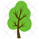 پیش‌نمایش فایل poplar-tree-4 از پک آیکن‌های مسطح درختان