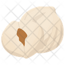 پیش‌نمایش فایل gingko-nut از پک آجیل