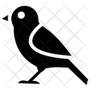 پیش‌نمایش فایل bird-282 از پک طبیعت و پیک‌نیک