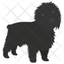 پیش‌نمایش فایل affenpinscher از پک نقاشی سگ کارتونی