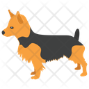 پیش‌نمایش فایل airedale-terrier-1 از پک نقاشی سگ کارتونی