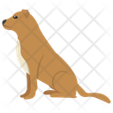 پیش‌نمایش فایل beagle-12 از پک نقاشی سگ کارتونی