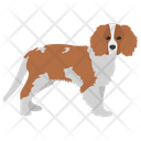 پیش‌نمایش فایل beagle-14 از پک نقاشی سگ کارتونی