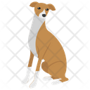 پیش‌نمایش فایل beagle-8 از پک نقاشی سگ کارتونی