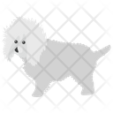 پیش‌نمایش فایل bichon-frise از پک نقاشی سگ کارتونی