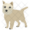 پیش‌نمایش فایل chihuahua-4 از پک نقاشی سگ کارتونی