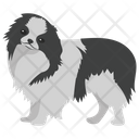 پیش‌نمایش فایل chow-chow از پک نقاشی سگ کارتونی