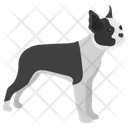 پیش‌نمایش فایل dog-character-2 از پک نقاشی سگ کارتونی
