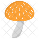 پیش‌نمایش فایل champignon-3 از پک قارچ‌ها