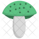 پیش‌نمایش فایل edible-mushroom-10 از پک قارچ‌ها