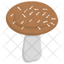 پیش‌نمایش فایل edible-mushroom-11 از پک قارچ‌ها
