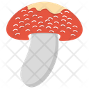 پیش‌نمایش فایل edible-mushroom-4 از پک قارچ‌ها
