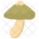 پیش‌نمایش فایل edible-mushroom-7 از پک قارچ‌ها