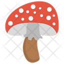 پیش‌نمایش فایل edible-mushroom-9 از پک قارچ‌ها