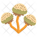 پیش‌نمایش فایل mushroom-416 از پک قارچ‌ها