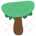 پیش‌نمایش فایل oyster-mushroom-1 از پک قارچ‌ها