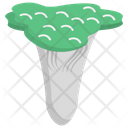 پیش‌نمایش فایل toadstool-13 از پک قارچ‌ها