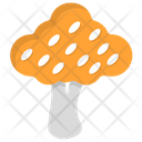 پیش‌نمایش فایل toadstool از پک قارچ‌ها